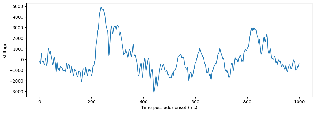 _images/0_LFP_Identifying_Oscillations_5_1.png