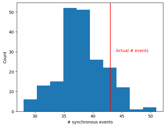 _images/4_ST_Spike_Synchrony_13_1.png